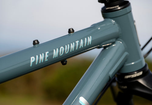 Marin Pine Mountain top tube detail