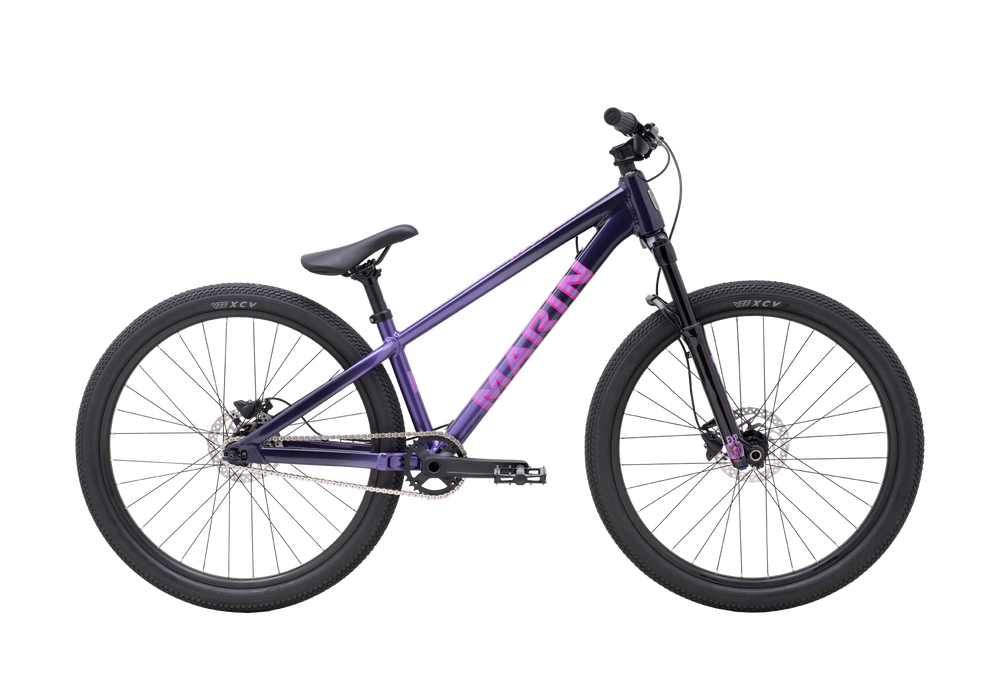 Purple bicycle on a white background