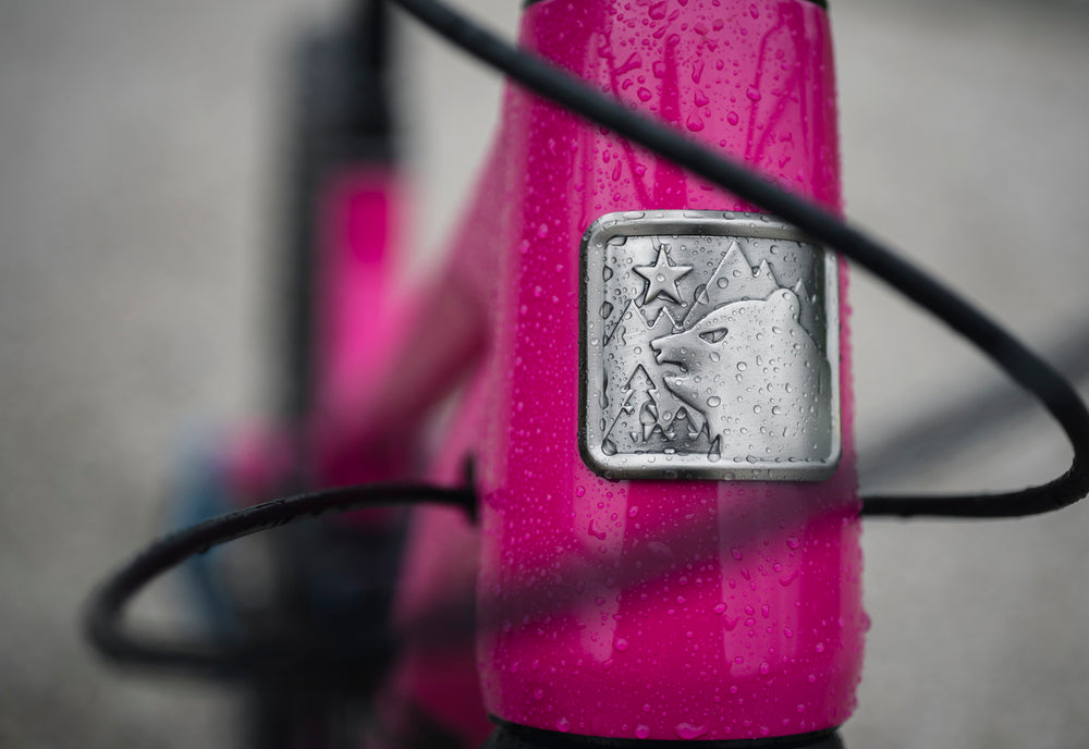 Marin Alpine Trail head tube badge detail