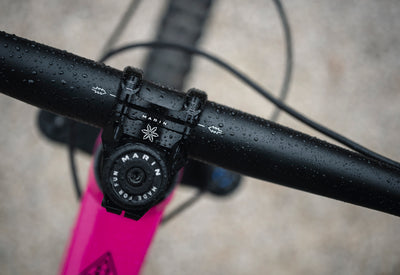 Marin Alpine Trail stem detail