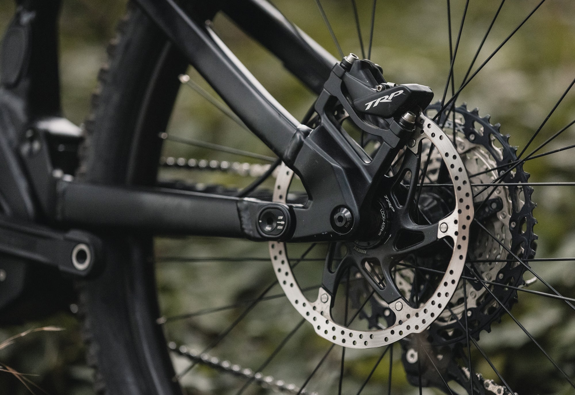 Marin Alpine Trail E rear brake detail