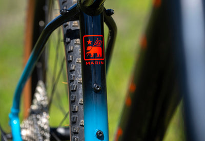Marin Bobcat Trail frame detail
