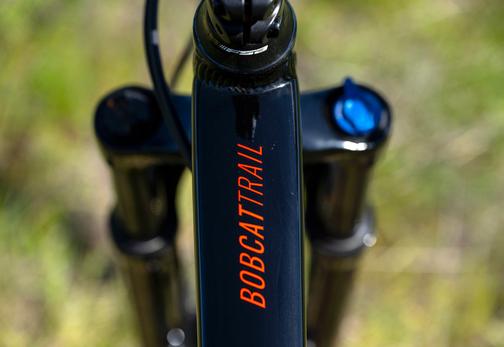 Marin Bobcat Trail frame detail