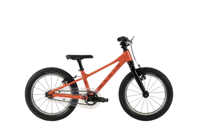 Marin Coast Trail 16