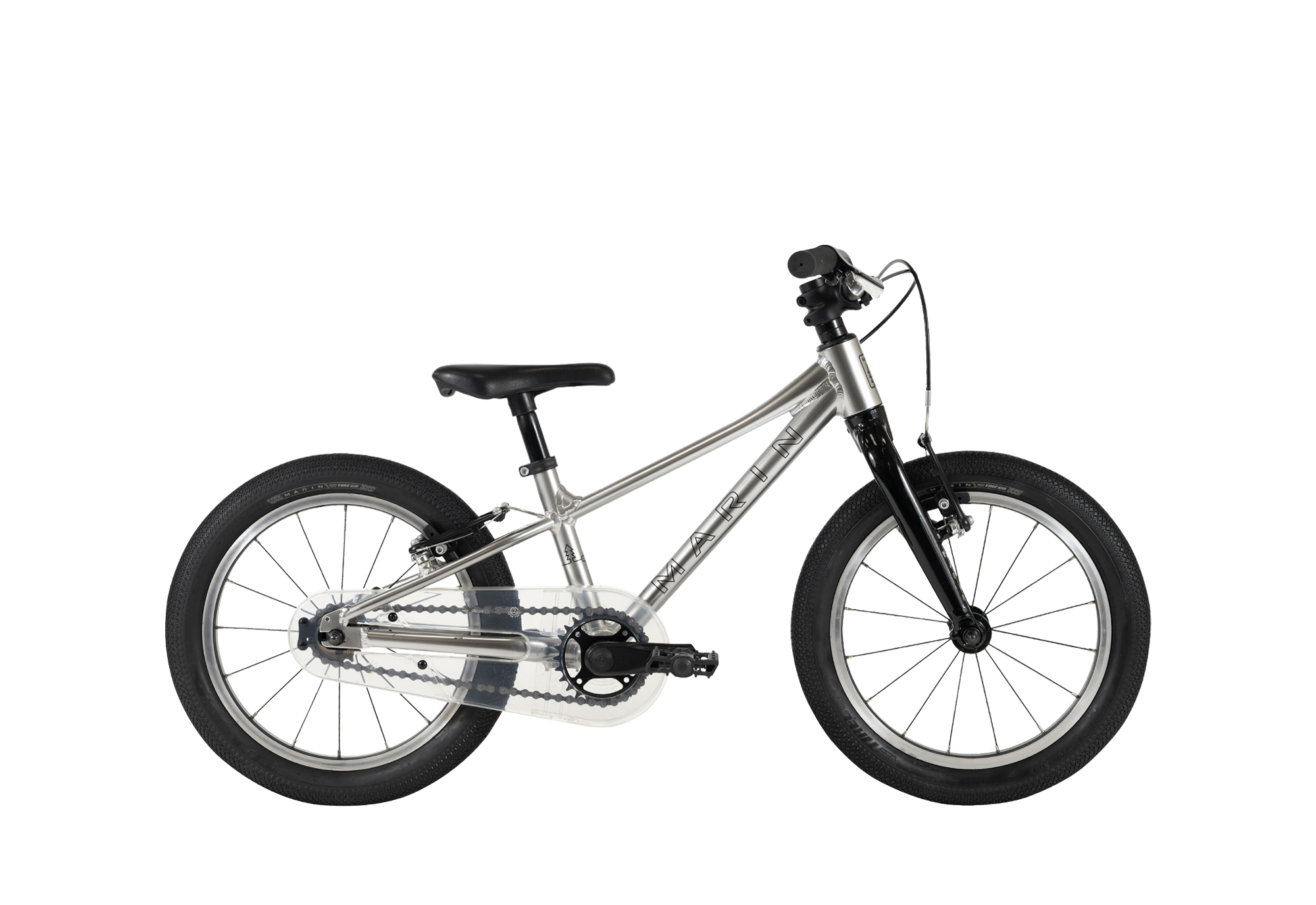 Marin Coast Trail 16