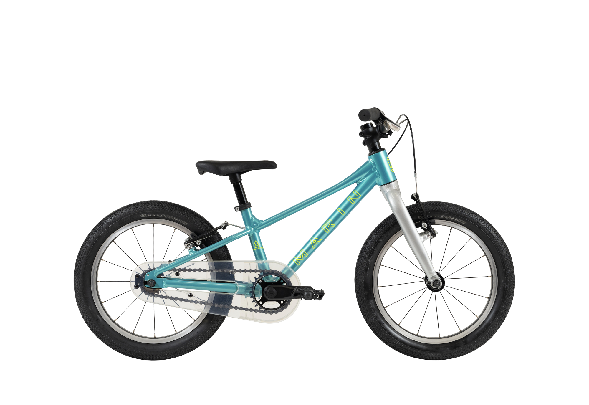 Marin Coast Trail 16