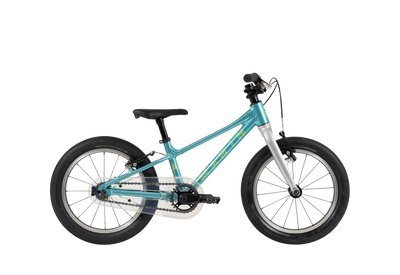 Marin Coast Trail 16