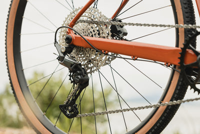 Marin DSX rear derailleur detail