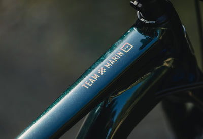 Team Marin top tube detail