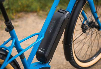 Marin Larkspur E battery detail