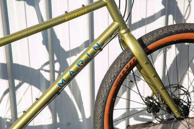 Marin Muirwoods frame detail